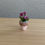 ビオラのちびっこ花鉢