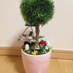 どんぐりトトロ風置物