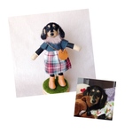cocoaaru様専用♡秋冬コーディネートセット・おめかしわんこドール、毛糸わんこ『うちの子オーダー』(mii._.wool)