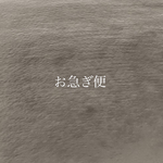 お急ぎ便（5日以内発送）