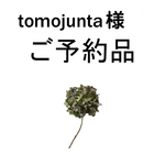 【　tomojunta  様　ご予約品】【再×6♪サンドベージュのサルエルパンツ▼