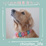 ⭐︎ いくのの様専用カート⭐︎他の方のご購入はお控えください