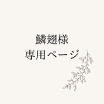 鱗翅様　専用ページ