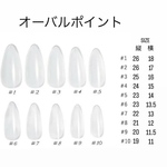 サイズ確認用チップ  1セット　種類多数あり