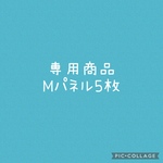 専用商品Mパネル5枚