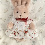 いちごワンピ🍓うさぎのぬいぐるみ