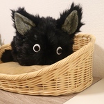  【だるん、黒】