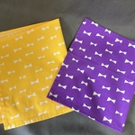 ラスト1☆sale【30×50ランチョンマット2枚セット】