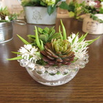 Petit Green Arrange 07