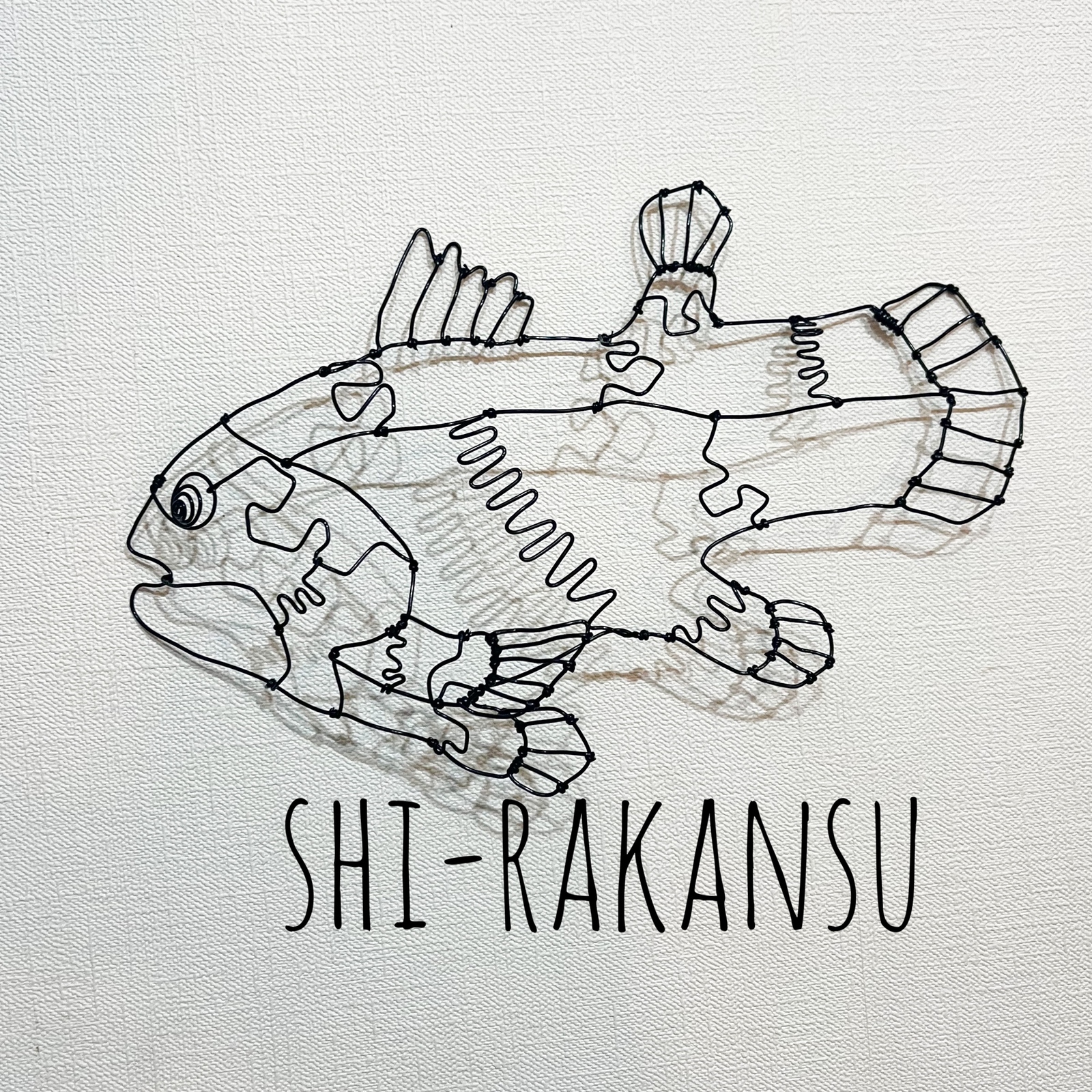 シーラカンス 深海魚 ワイヤーアート 立体 壁掛け【受注販売