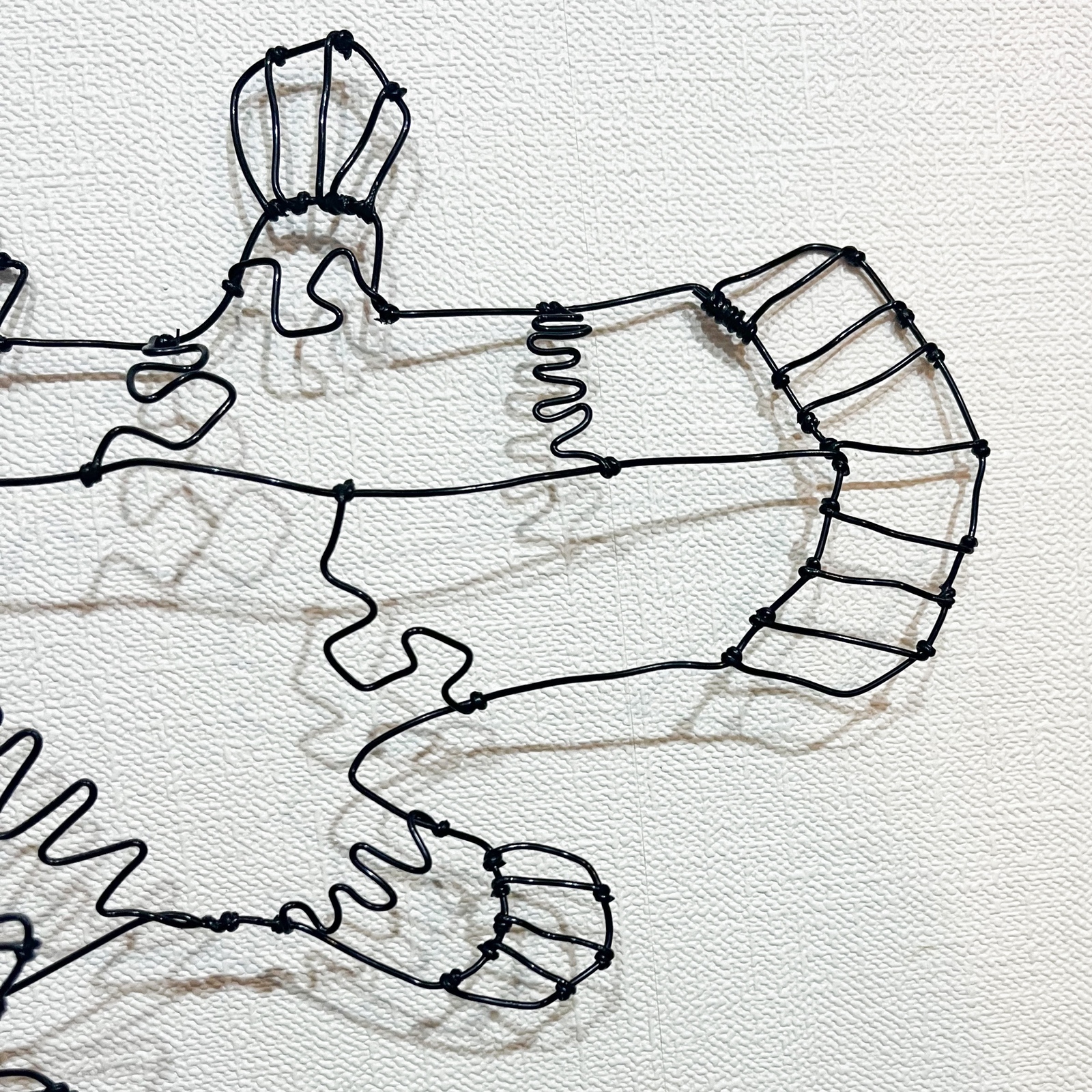 シーラカンス 深海魚 ワイヤーアート 立体 壁掛け【受注販売