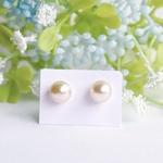 7.5〜8㎜　あこや真珠　マグネットピアス