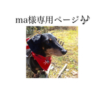 ma様オーダー わんちゃん🎶