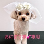 【犬服】👰‍♀️犬用　ベール　リングドッグや、お誕生日などのさまざまな記念日の📸記念撮影、お出掛けにも🥰ヘッドドレス