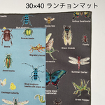 昆虫大百科　カラーが選べるランチョンマット30×40　シンプル昆虫柄　昆虫　虫　むし　ムシ　 男の子 ☆入園入学☆