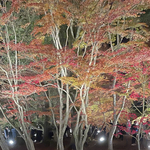 専用のページになります