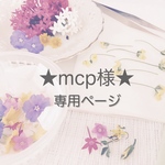 ★mcp様★専用ページ