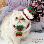 🎄🎂クリスマスケーキのお帽子＆スタイセット🎂🎄　苺のデコレーション🍓　猫　ペット　帽子　スタイ　
