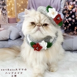 2023ver.  🌟ポインセチアのベレー帽＆スタイセット🌟　猫 ペット 帽子 スタイ ネックレス Xmas