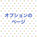 オプション ★内ポケット ファスナー付き