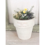 N様ご注文品　.* ෆ Egg Tart ෆ *.〜ビオラ・エッグタルトの寄せ植え