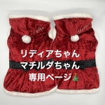 サンタワンピ