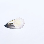 kiriko hana ring (frost dandelion) #7