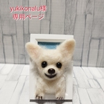 羊毛フェルト【yukikonalu様専用ページ】