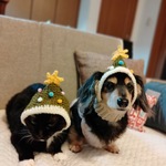2023年【Instagram予約様分】　ウチのおばぁちゃんが編んだ被り物　もみの木帽🎄かぶり物