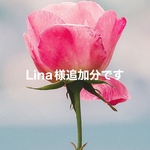 Lina様専用