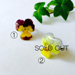 本物のお花の指輪
