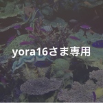 yora16さま専用