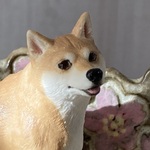 「柴ザラ~プリプリ春散歩」