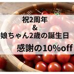 【感謝の10％OFF】☆超濃厚ミニトマト1.5kg☆プチトマト