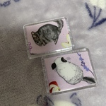 チンチラマグネット小2個