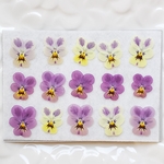 ☆押し花☆　ミニビオラB・イヤー　　　　　花材　素材　小花　レジン