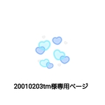 20010203tm様専用ページ