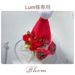Lum様専用ページ