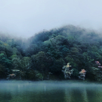 霧