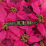 yukary13様ご購入専用ページ🐸🐸