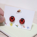 ⚠️オーダー品⚠️🐞ピアス