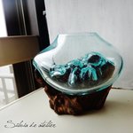 ＜浄化用・E＞LL粒高品質クリスタルチップ付き　流木ガラスセット　テラリウムポット