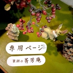 ayusato3様  専用ページです（他の方はご購入できませんのでご注意下さい）