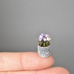 ✴︎クロッカス植木鉢✴︎ 1/12scale