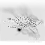ゲトライゼ通り様専用カート