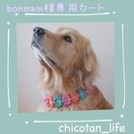 ⭐︎ bonmam様専用カート⭐︎他の方のご購入はお控えください