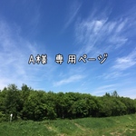 A様専用ページ