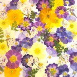 ♡new♡作家様必見♡押し花MIXセット♡押し花セット