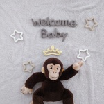 【人気No.2】ニューボーンフォト　Welcome　Baby　ウールレター