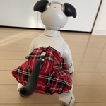 赤チェックのおぱんつ